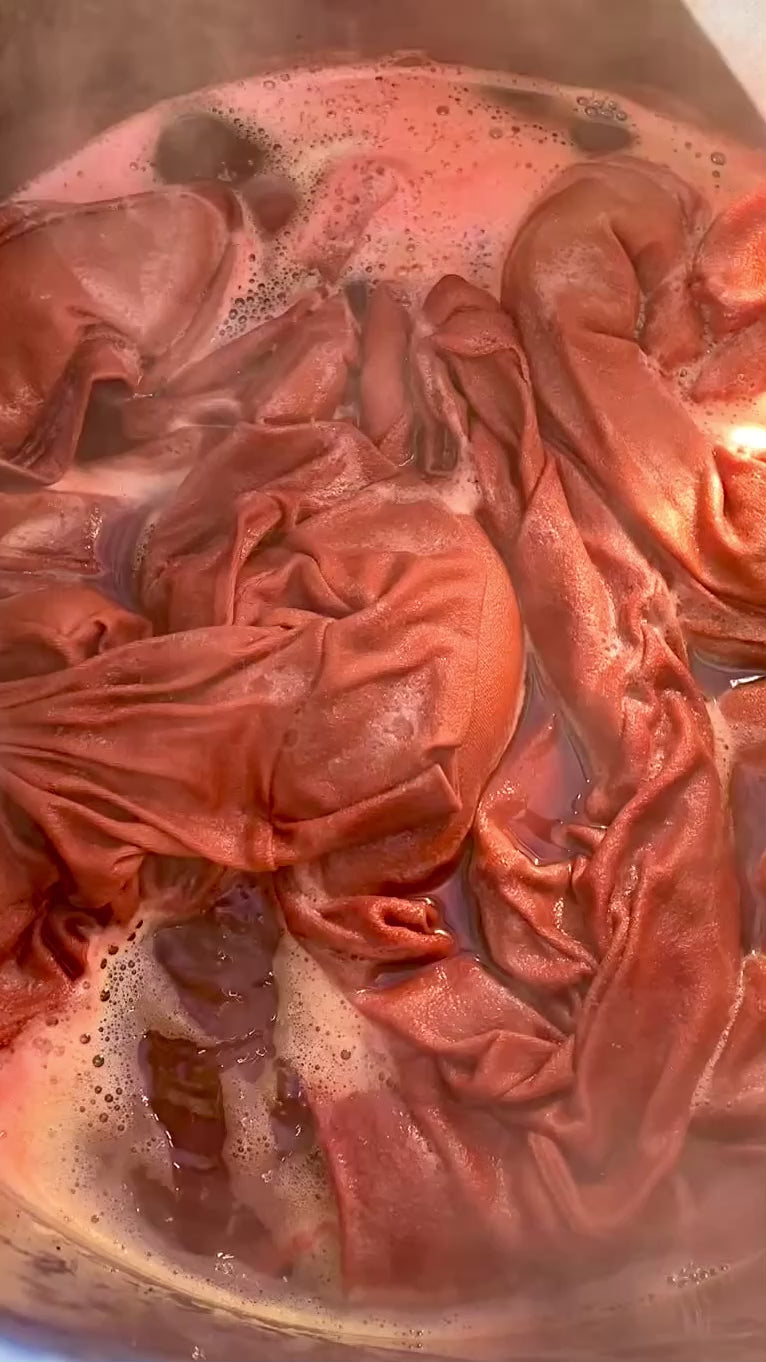 Medicinal Hand-Dyed Organic Cotton Period Underwear ~ Madder